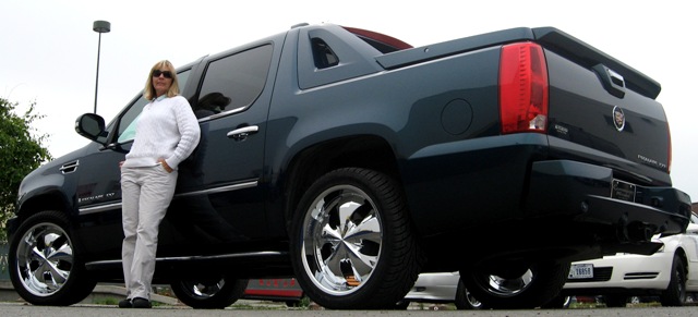 ZINIK/ BELLFLOWER 22''